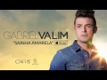 Gabriel Valim Sainha Amarela 