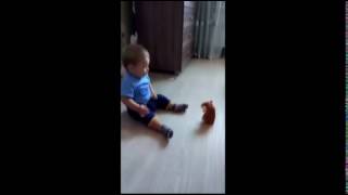FUNNY VIDEO - Baby Cries Because of the Rat Doll