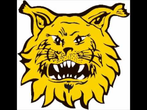 Ilves murisee 15 minuuttia