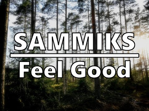 Sammiks - Feel Good