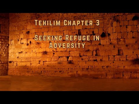 David Hamelech - Tehilim Chapter 3: Seeking Refuge in Adversity