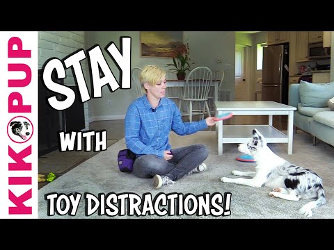 STOP UNWANTED behaviors with BACK UP