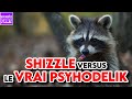 SHIZZLE VERSUS LE VRAI PSYHODELIK (PSYHODELEAKS PART. 1)