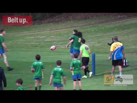 2019 Belt Up Tries of the Week - Round 6