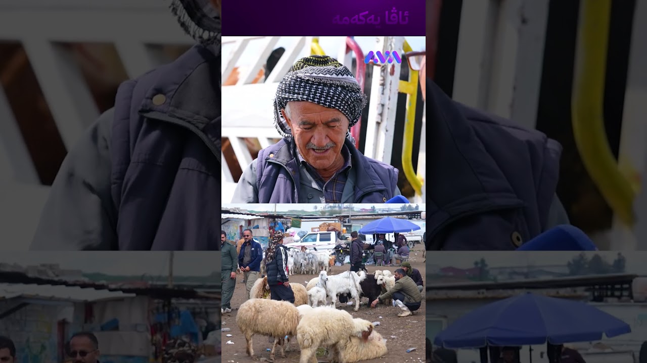 ڤیدیۆ | جۆ گرانە کاکە