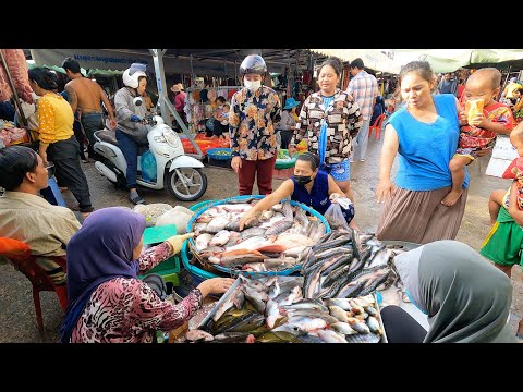 Cambodian Food Tour & Food Market Scenes - Food Video Compilation & People Activities