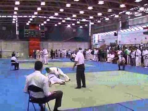 XV.Hungarian Open Masters Judo Championship 2013