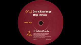 Secret Knowledge - Mojo (The Stained Trees Dub) [904TP12P]