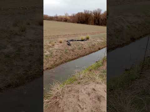 Chacra 96 hectáreas en Luis Beltrán, Río Negro con costa de río.
