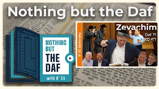 חזארה - זבכים דף 71 | "Nothing But the Daf" עם הרב אלי סטפנסקי