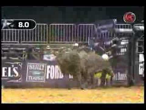 Travis Briscoe VS Grey Dog