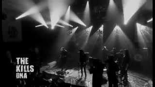 The kills - Dna one shot not (2011)