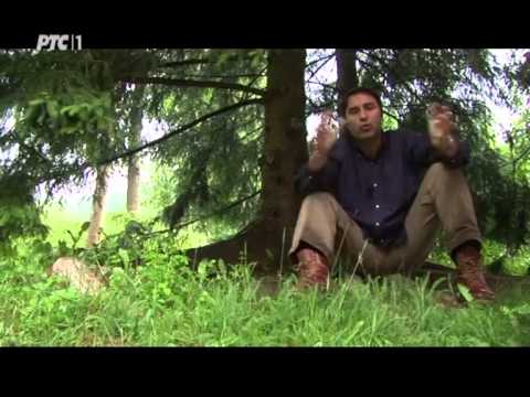 Sasvim prirodno: Plodovi majke prirode