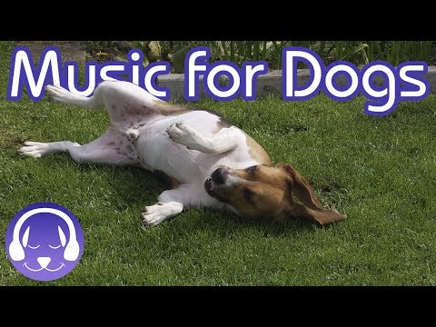 Deep Relaxation Music for Dogs: Classical Music to Soothe Your Dog! (2019)