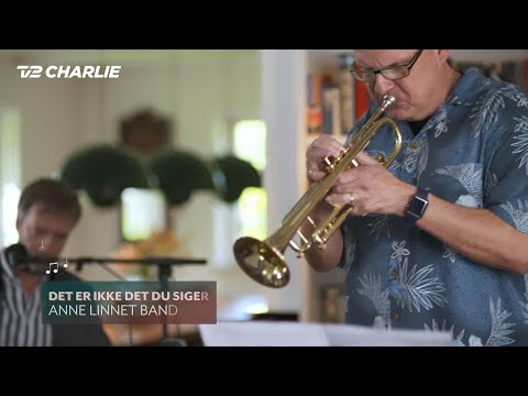 En trekant en sang: Det Er Ikke Det, Du Siger