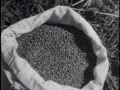U.S. Department of Agriculture: Hemp for Victory ...