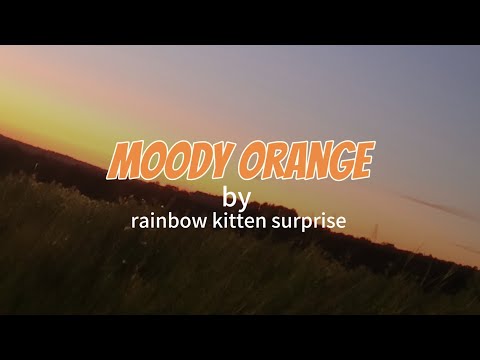 Moody Orange - Rainbow Kitten Surprise
