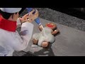 The Gingerbread Man Robot Chicken