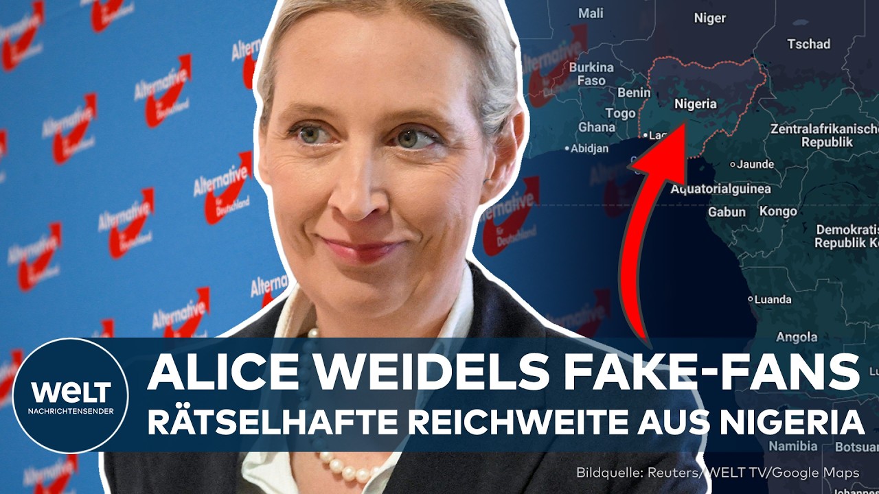 TikTok: Alice Weidels Fake-Fans – Mehrheit der AfD-Videos stammen aus Nigeria!