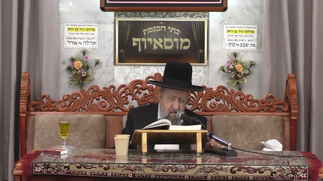 הרב בן ציון מוצפי פרשת נח תשפ"ו