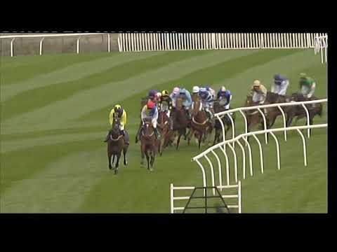 2010 Sefton Novice Hurdle - Aintree meeting