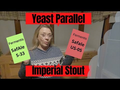 Imperial Stout Yeast Parellel Fermentis US-05 vs. Fermentis S-33