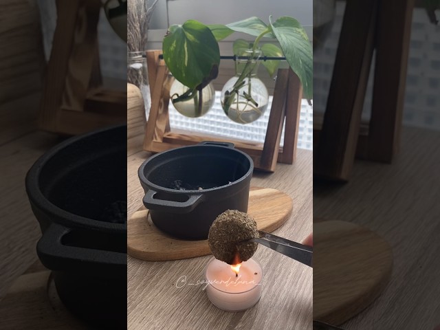 Vídeo relacionado con Ruda para Sahumerio, Limpieza de Energía Negativa, no Apto para Consumo (40 Gramos)