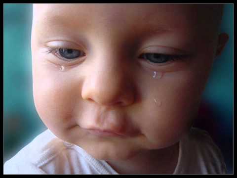 Jan Peter - Couragierte Schweine