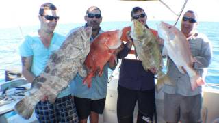 preview picture of video 'Fishing Video -  Reef fishing 4 Way Hookup!!'