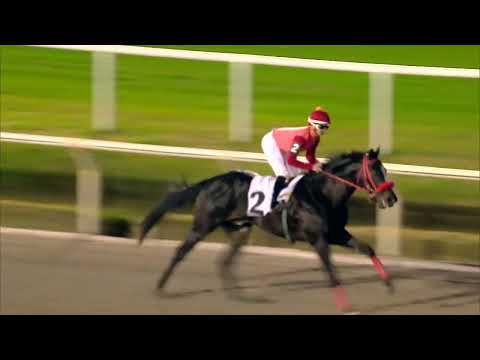 220717 c10 QUE GUAPO (BRZ)