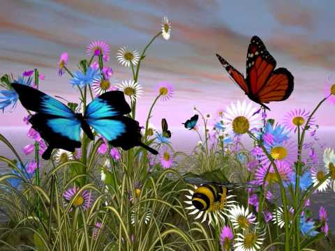 Ewa Farna- Jak motýl (cover)