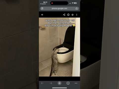 Qurbo.ai 소개 영상