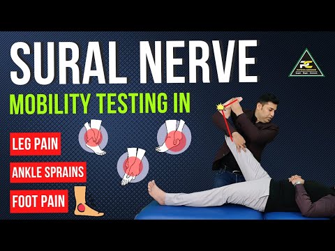 Conceptual Framework of Neurodynamics Treatment Approach The 3 Part System