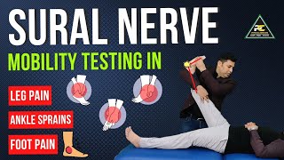 SURAL NERVE MOBILITY TESTING IN LEG/ ANKLE AND FOOT PAIN PATIENTS.
