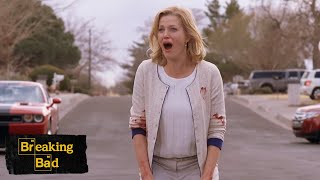 Walt And Skyler Fight – Ozymandias