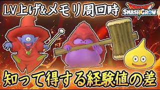 DQSG 塵積もが重要！レベル上げ＆レアメモリ周回の少しの差が大きな差に！経験値の再確認！ドラクエスマグロ 攻略【メイルス】【Dragon Quest Smash Grow】