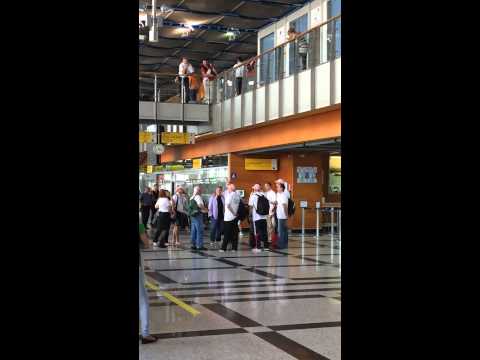 vokalisti salone za brazil