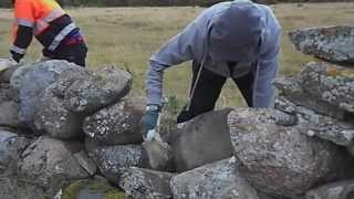 preview picture of video 'Hands-On Stone Walls in Fide, Gotland, 2012'
