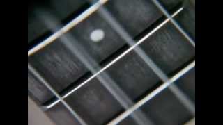 Jaguar Tan by Hawaii Fried Dough