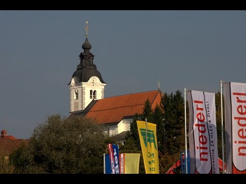 Sejem Komenda - pomlad 2015, 20. po vrsti / Fair in Komenda - spring 2015