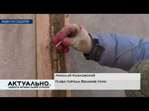 Актуально Великие Луки / 12.02.2022