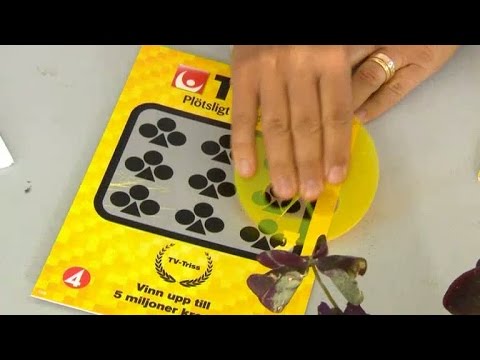 Anna skrapar Triss - Nyhetsmorgon (TV4)