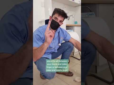 How to give your dog a pill