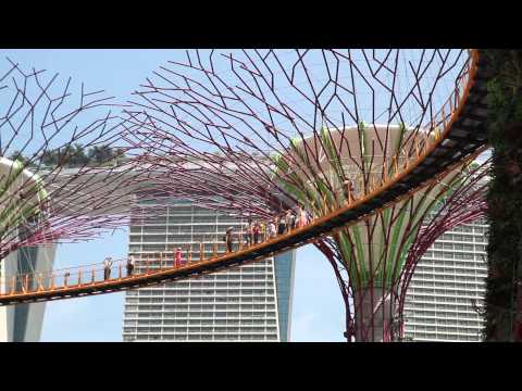 LNA Singapore Study Tour 2014