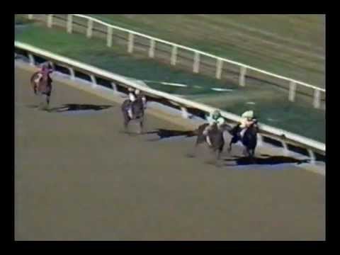2000 Hollywood Futurity - Point Given