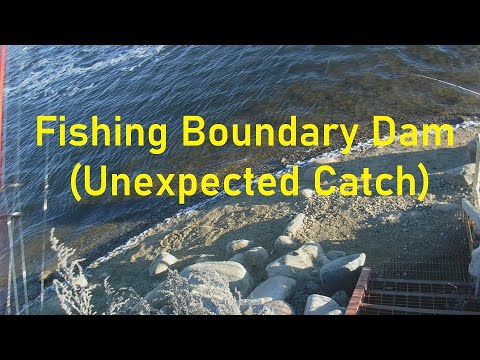 (Fishing Boundary Dam Unexpected Catch)