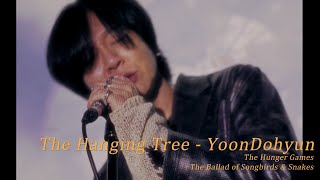 [影音] 尹度玹-The Hanging Tree (飢餓遊戲OST)