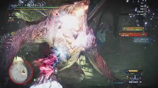 【MHWIB】ムフェトジーヴァ尻尾以外全部位破壊ソロ討伐 14分35秒83【ライトボウガン版】
