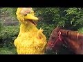 Sesame Street What A Gift With Intro