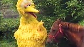 Sesame Street - What A Gift (with intro)